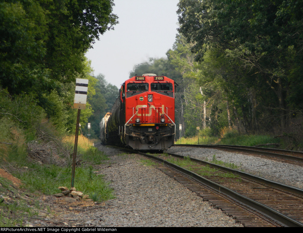 CN 3100 